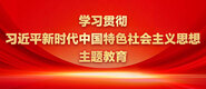 日老女人骚麻逼学习贯彻习近平新时代中国特色社会主义思想主题教育_fororder_ad-371X160(2)